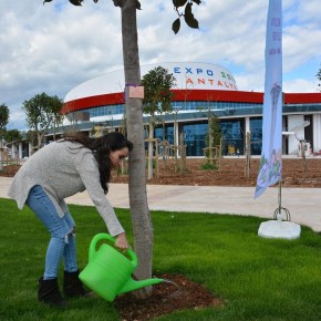 TUĞBA YURT EXPO 2016 ALANINA AĞAÇ&nbsp;DİKTİ