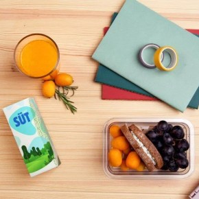 NEDEN AMBALAJLI SÜT?